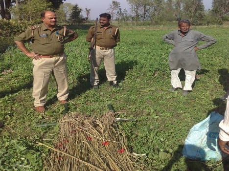 Annexed body before cremation