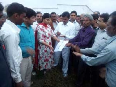 Inspection of the crop was destroyed by hail MP