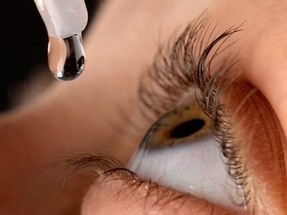 allowing to government before eye Camp sites, decree