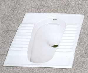 father in law not allowed daughter in law to use toilet.