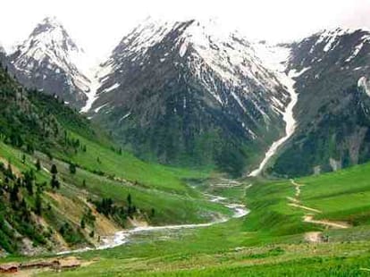 Will make J&K premiere global tourist destination: Mufti
