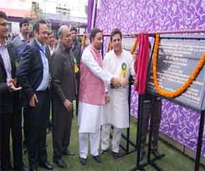 The foundation stone of the plants to the ground without the Minister.