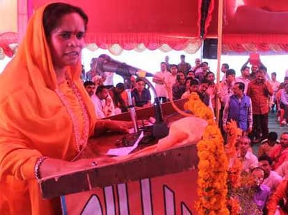sadhvi prachi controversial speech
