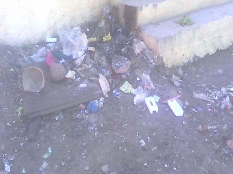 Ptah water junction of litter