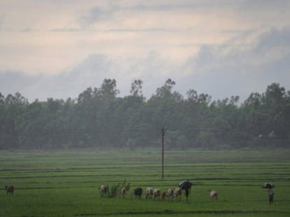 6 question related to land bill