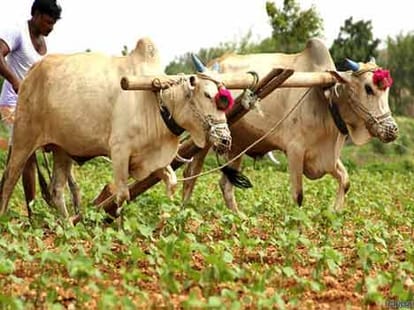 6 question related to land bill