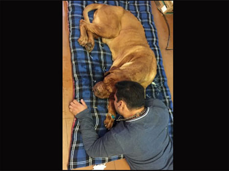 salman khan share veer's photo 