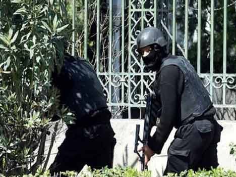 8 people died in terrorist attack