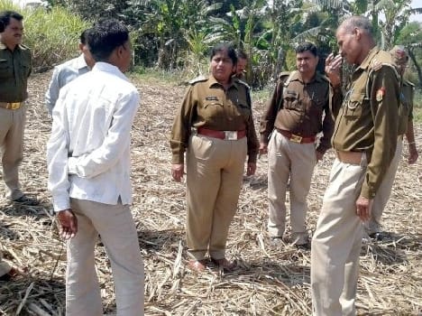 Farm found the skeleton , was identified as escaped convict !