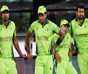 pcb also seeking a advisory cricket committee as like bcci