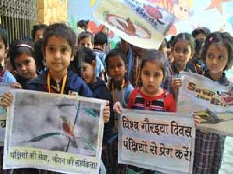 Save the children repeated determination of avian