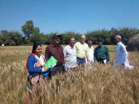  Scientists observe crop