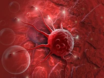 Cancer Chemotherapy must not be repeated to patients now.