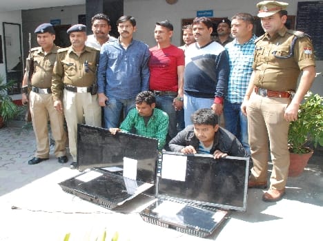 Thief arrested