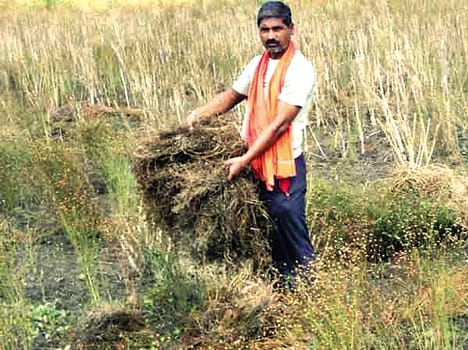 Farmer himself on fire