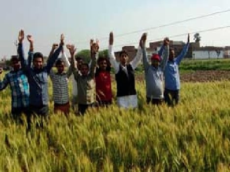 Loss of crops being starry hightension