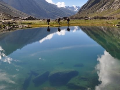 Anti freeze protein bacteria found in manimahesh Lake chamba.