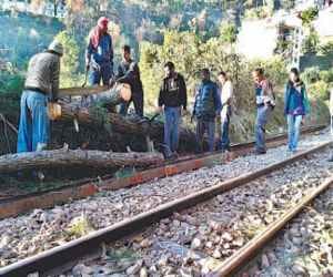kalka-shimla train stopped on track due to problem
