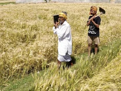 UP govt sends false report to central govt ovre farmers issue.