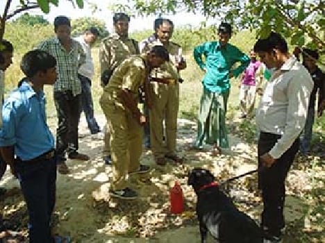 kaushambi news