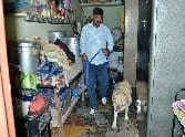 Spare parts dealer Close to home burglary