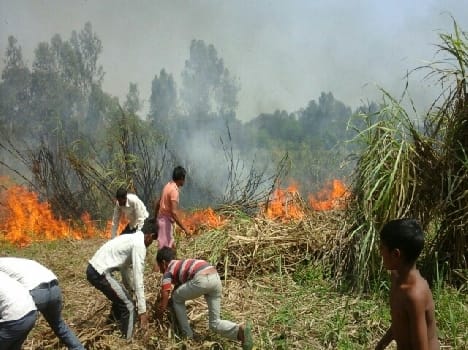 Kallia Rampur village cane fires burn
