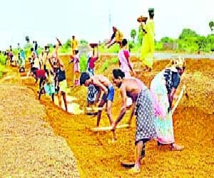 NREGA money Dubaya in pond