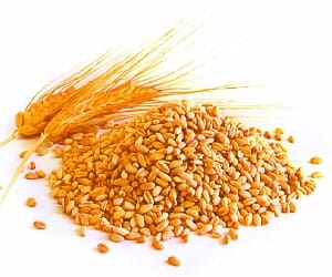 Lowered risk of declining purchasing wheat Center