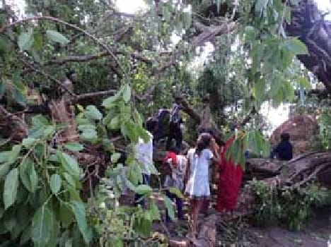 Six people lost life in storm in Ballia