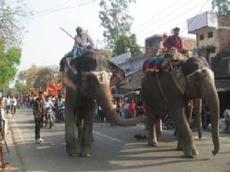 The city is rammay on birthday 