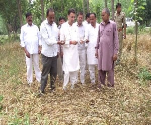See ruined crops Prasada arrived
