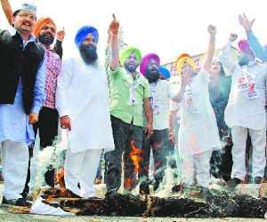 protest against kejriwal, workers burn mannequin of aap mp