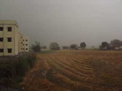 rain beating on the happiness of farmers