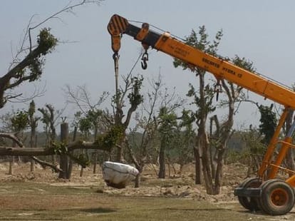 old tree transplant in uttarakhand.