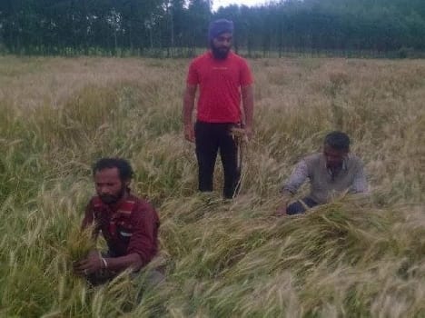 Farmers have been suffering from hitting nature