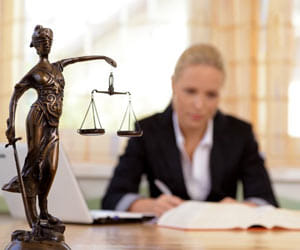 Career in advocacy