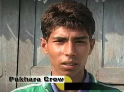 birdman of nepal in shimla.