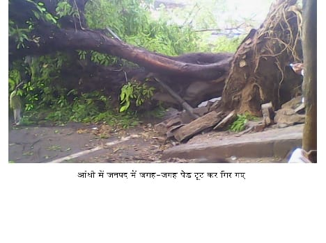 After hail storm hit farmers