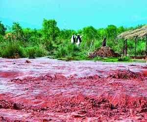 heavy rain in jammu kashmir claims huge loss