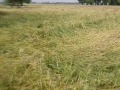 Government joking with farmers