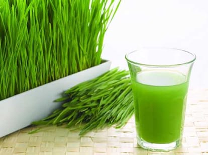 health benefits of wheat grass