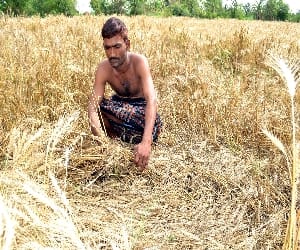 Hail to upset farmers