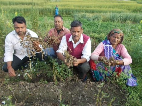 The rain broke the back of farmers