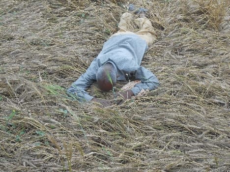 ... Have mercy, Lord , will die farmer