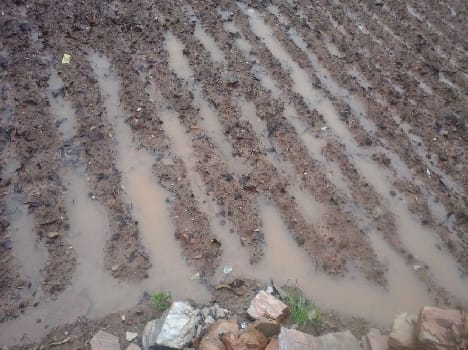 Hail and rain ruined the farming