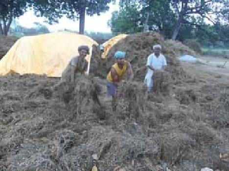 Nature's havoc, farmers broken hip