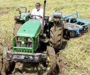 farmer distroy his crop self tractor