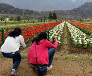 post flood, kashmir will again rise