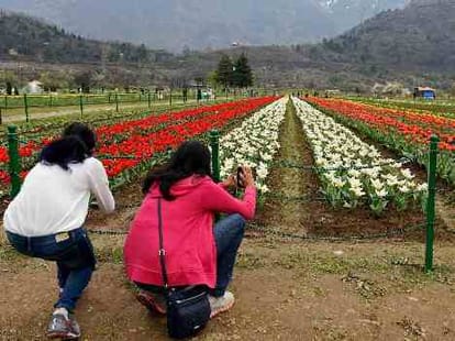 violence to ruin tourist season in J&K