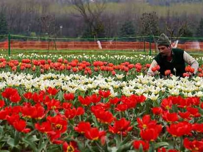 post flood, kashmir will again rise
